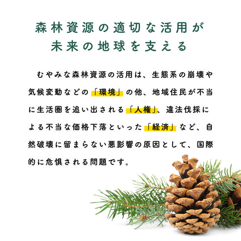 對地球和地球很友善的松樹的tsumiki