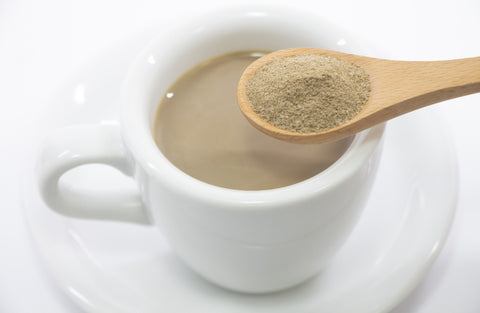 有機粉末ほうじ茶　50ｇ　12本セット