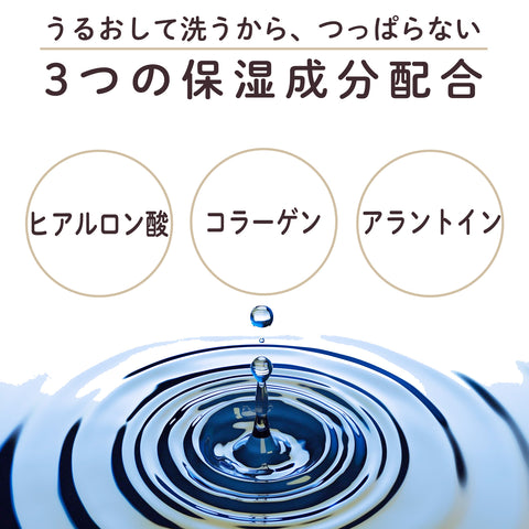 泡沫純洗淨保濕 /泡沫臉部150毫升 +重新填充套件套件