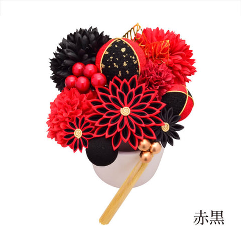 ARENCA -Hyakka Hachigical Chrysanthemum