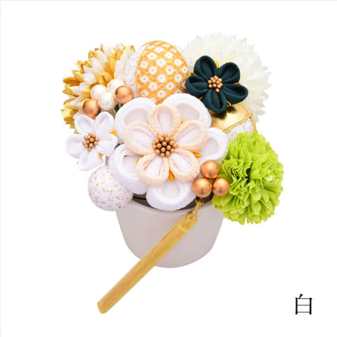 ARENCA -Miwahana