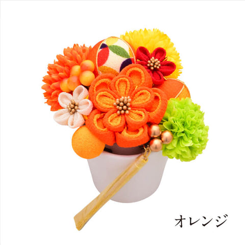 ARENCA -Miwahana