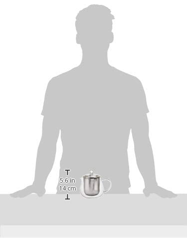 HARIO 哈里歐 葉子茶壺 透明 實用容量450毫升 耐熱玻璃 禮物 禮物 CHC-45T
