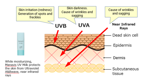 마나비스 UV 밀크 30g