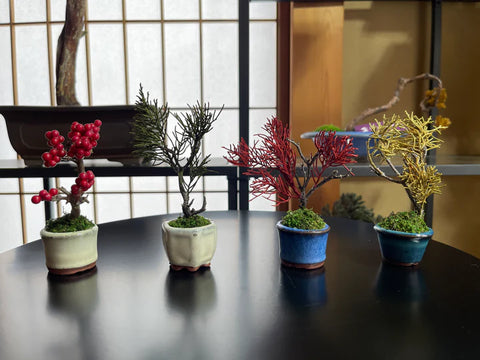 Made in Japan! One-of-a-kind, Dry Bonsai capsule set, GOFUN Nail Polish and Lip Set　※Bonsai color 【KTIC031】