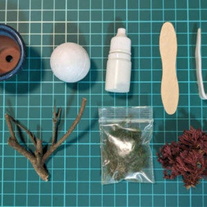 Made in Japan! One-of-a-kind, Dry Bonsai capsule set, GOFUN Nail Polish and Lip Set　※Bonsai color 【KTIC037】
