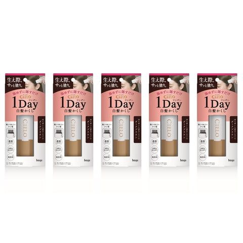 CIELO 1DAY Gray Hair Concealer Dark brown 　×５