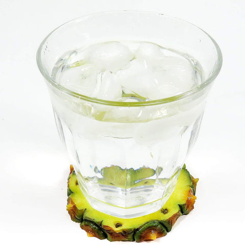 Fruits coaster set (fake food)