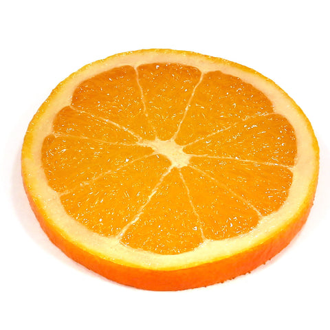 Fruits coaster set (fake food)