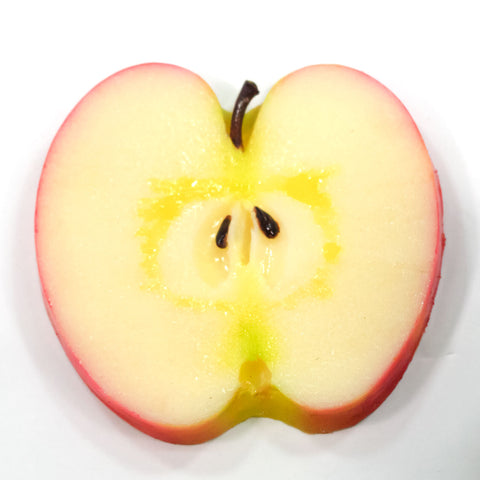 Fruits coaster set (fake food)