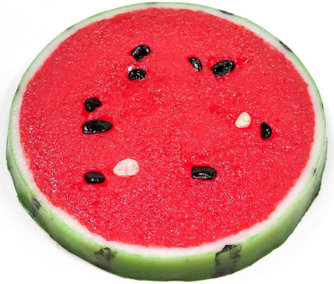 Fruits coaster set (fake food)
