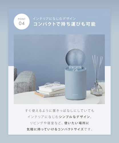 SALONIA サロニア ピュアブライト スチーマー 美顔器 フェイススチーマー 美容 グレー