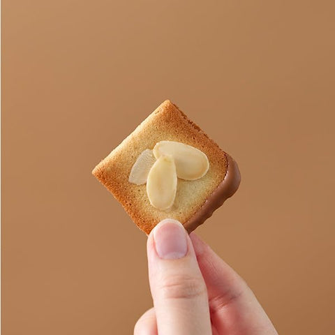 YOKUMOKU Bie Ozamand Chocolat, Pack of 24