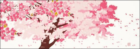 Somenoanobo Tenugui "Spilled Cherry Blossoms" 100% Cotton Tokioka, Made in Japan, 13.8 x 39.4 inches (35 x 100 cm)