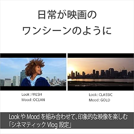 소니 (소니) 컴팩트 디지털 카메라 VLOGCAM Vlog 카메라 ZV-1II (바디 윈드스크린 포함) 18-50mm F1.8-4.0 줌 렌즈 블랙 ZV-1M2 B