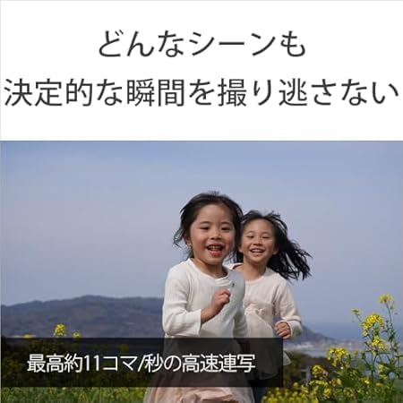 SONY(索尼) APS-C 无反光镜单反相机 α6400 动力变焦镜头套件(同包装镜头:SELP1650) 黑色 ILCE-6400L B