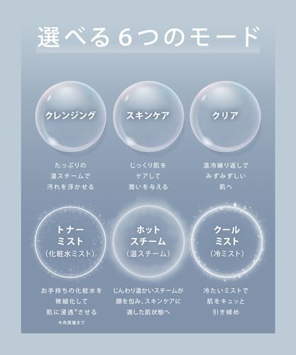 SALONIA サロニア ピュアブライト スチーマー 美顔器 フェイススチーマー 美容 グレー