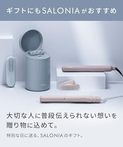 SALONIA サロニア ピュアブライト スチーマー 美顔器 フェイススチーマー 美容 グレー