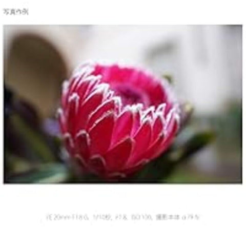 索尼 / 广角定焦镜头 / 全尺寸 / FE 20mm F1.8 G / G镜头 / 数码单反相机α[E卡口]用镜头 / SEL20F18G