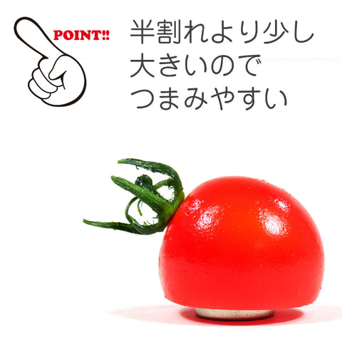 Cherry Tomato magnet (fake food)