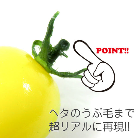 Cherry Tomato magnet (fake food)