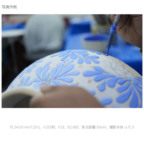 SONY(ソニー) 標準ズームレンズ フルサイズ FE 24-50mm F2.8 G Gレンズ デジタル一眼カメラα[Eマウント]用 純正レンズ SEL2450G