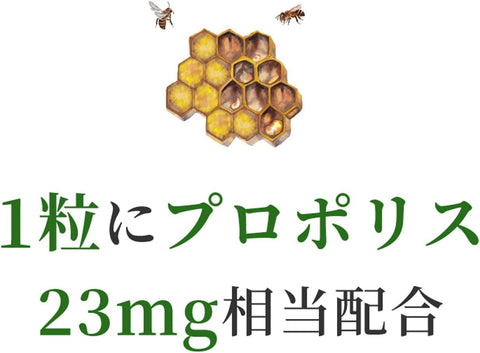 康贝 康贝 喉糖 麦卢卡蜂蜜 UMF10+ 蜂胶 糖果 柠檬蜂蜜味 100粒
