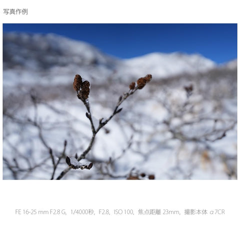 SONY(Sony) 廣角變焦鏡頭 全尺寸 FE 16-25 mm F2.8 G G鏡頭 數位單眼相機α[E卡口]使用 原廠鏡頭 SEL1625G