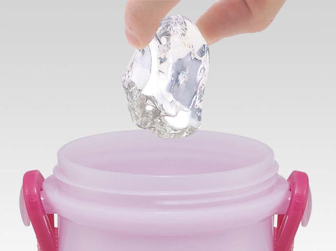 스케이터 (스케이터) 어린이용 플라스틱 물병, 480ml, 원푸시, 항균, 어린이 친화적, 경량, 항균 마감, 일본산, Gabby Dollhouse PSB5SANAG