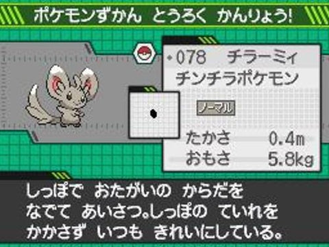ポケットモンスター ブラック