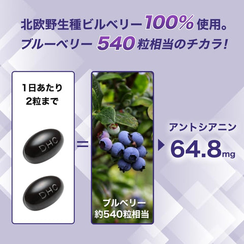 DHC 速攻ブルーベリー 30日分
