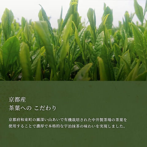 鼓月 姬千寿仙贝(有机抹茶)12片装 / 京都 日式点心 京点心 京都甜品 日式甜品 独立包装 赠品 纪念品 礼品 家庭用 茶包 茶时间 礼 庆祝 家庭庆祝 订购