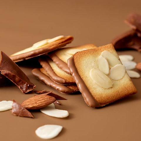 YOKUMOKU Bie Ozamand Chocolat, Pack of 24