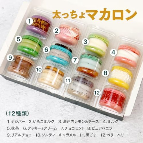 【ギフト】オールスター 12個セット トゥンカロン 太っちょマカロン お菓子 スイーツ お中元 敬老の日