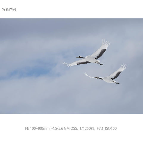 SONY(Sony) 長焦變焦鏡頭 全尺寸 FE 100-400mm F4.5-5.6 GM OSS G Master 數位單眼相機α[E卡口]使用 原廠鏡頭 SEL100400GM