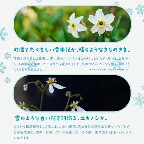 面膜 高级 Lululun 雪 (白香草香) 7片X5袋