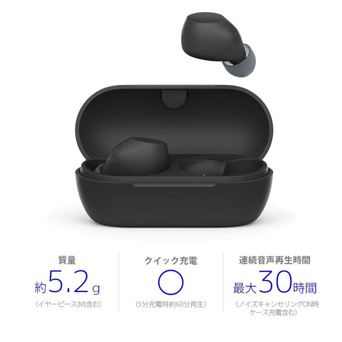 Sony WF-C710N Black Wireless Earbuds, High Performance Noise Canceling, Bluetooth Long Battery, External Sound Capture, IPX4 Splashproof, Lightweight, Compact, Multi-Point Connection