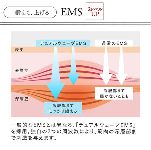【公式ストア限定】STELLA BEAUTE レーザー & EMSリフトブラシ PRO 2.0 ギフト用バック付き ステラボーテ 電気ブラシ 全身 リフトケア シェイプケア LLLT低出力レーザー EMS RF高周波 テラヘルツ プラズマイオン 美肌 美髪 頭皮ケア 電気ブラシ エイジングケア 薄毛ケア フェイスケア ハリ 毛穴 防水 (モンサントグレー)