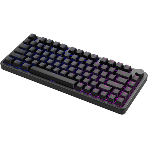 소니 (SONY) 게이밍 키보드 INZONE KBD-H75: KBD-G900 공동 개발/숫자 키리스/영어 알파벳/알루미늄 탑 케이스/볼륨 조절 다이얼/폴링 레이트 8,000Hz/ 개스킷 마운트/래피드 트리거/ 75% 사이즈