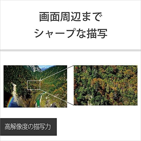 SONY Single Focus Wide Angle Lens Sonnar T* FE 1.38 inch (35mm) F2.8 ZA Full Size Compatible