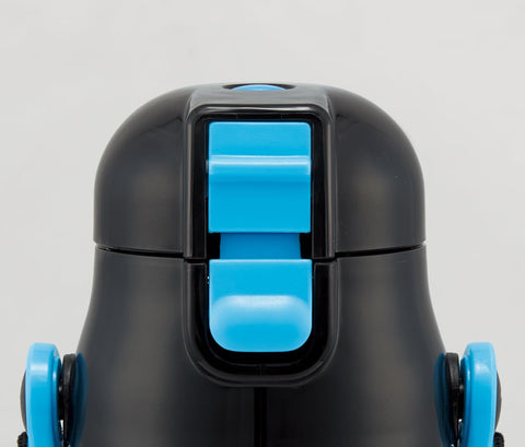 Skater SDC6N-A Children's Stainless Steel Water Bottle, Direct Drinking, 20.8 fl oz (580 ml), Pokemon 24, Cold Insulated, Sports Bottle, Cute Kids, Children, Water Bottle