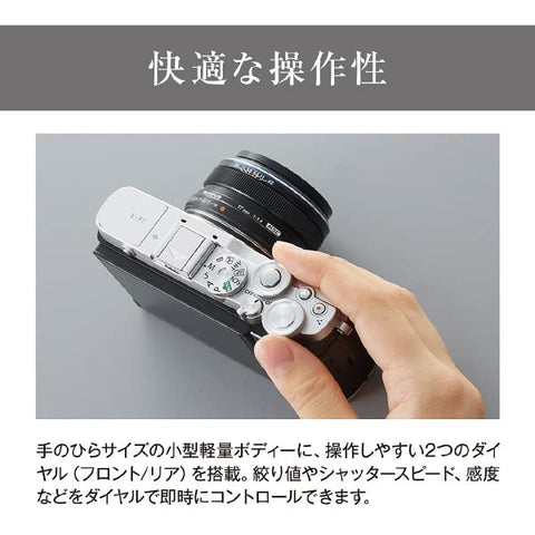 OM SYSTEM PEN E-P7 EZ Double Zoom Kit, Silver