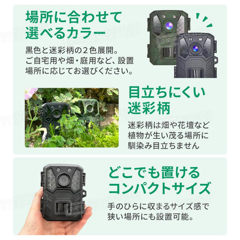 SecuSTATION 越野相机 小型 监控摄像头 1080p 夜间无红光 覆盖录像 日本国内经营品/支持完善 电池式 2000万像素 黑色 太阳能板 人体感应传感器 microSD卡 32GB SC-ML63 仅动作