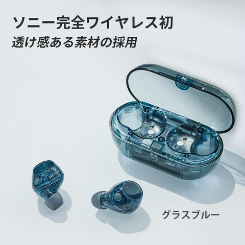 Sony WF-C710N Black Wireless Earbuds, High Performance Noise Canceling, Bluetooth Long Battery, External Sound Capture, IPX4 Splashproof, Lightweight, Compact, Multi-Point Connection