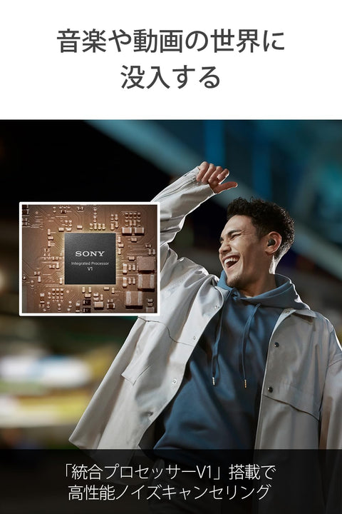 소니 (SONY) 무선 노이즈 캔슬링 스테레오 이어폰 LinkBuds S WF-LS900N: 경량/소형/뉴칸/외장형 사운드 캡처/다양한 사용성/블랙 WF-LS900N BC