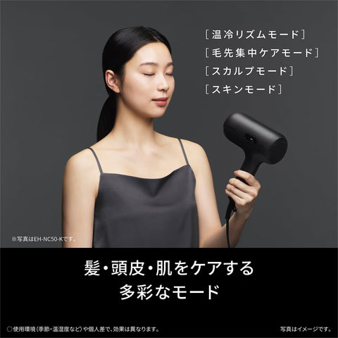 Panasonic Nanocare ULTIMATE Dryer, Nanocare ULTIMATE High Penetration Nano-E, 2nd Generation, Craft Black (2024 Model)