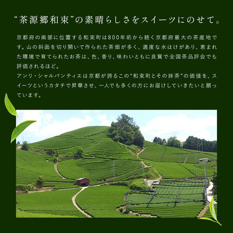 앙리 샤르팡티에 쿄/타쿠미 말차 파이낸시에 제과류, 인기 과자, 선물, 개별 포장 선물, 반품, 가족 축하, 기념품, 은퇴, 5개 팩