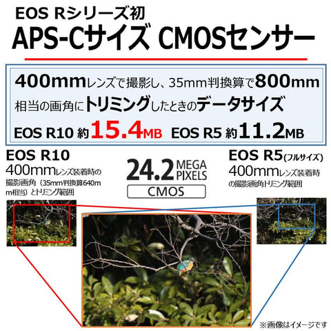 캐논 미러리스 SLR EOS R10 렌즈 키트 (RF-S18-45) 블랙/APS-C/EOSR10-1845ISSTMLK