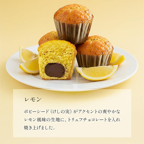 BOULMICH BOULMICH 迷你松露蛋糕 (16個裝(當天發貨)) 禮物 禮物 人氣 訂購 甜點 混裝 家庭慶祝 生日回禮 年終 年終 年終