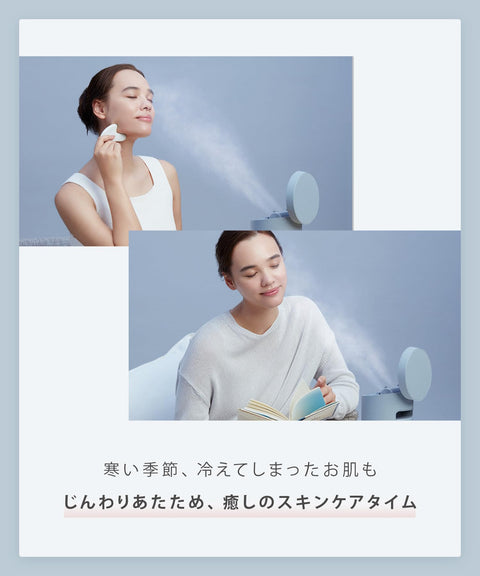 SALONIA Pure Bright Facial Steamer, Gray